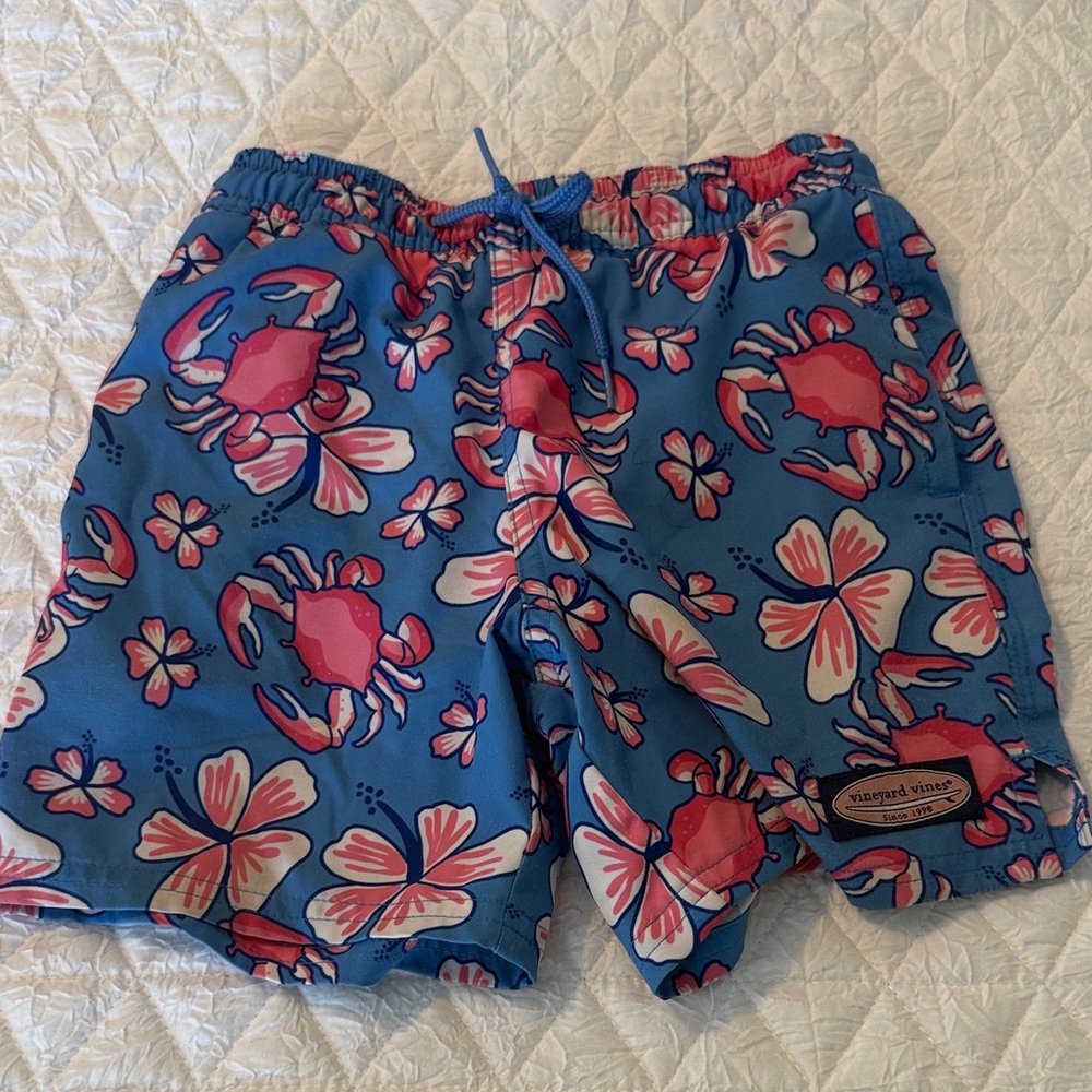 Vineyard Vines Blue and Pink Swimsuit